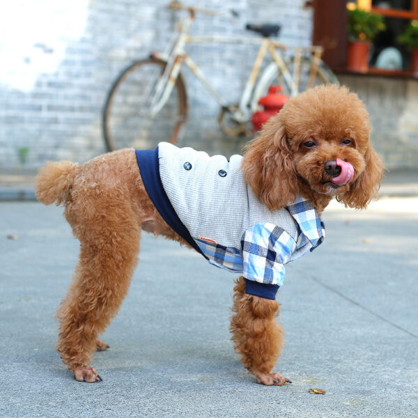 dog cardigan