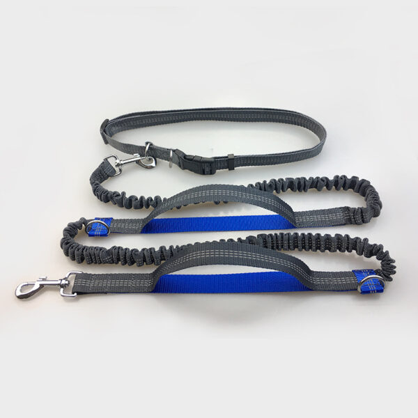 reflective dog leash