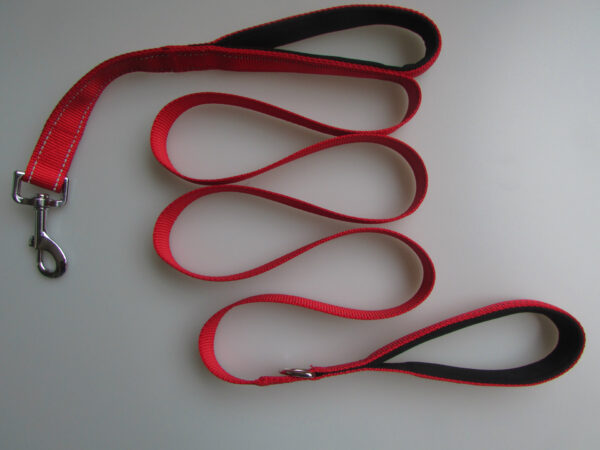 double handle leash for large dogs