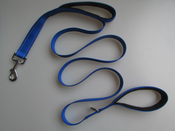 double handle leash for large dogs