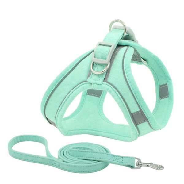 pet harness