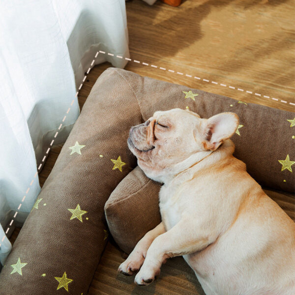 large dog bed