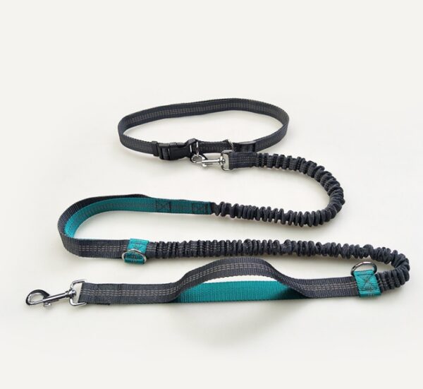 reflective dog leash