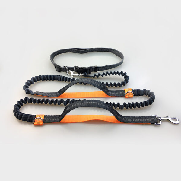 reflective dog leash