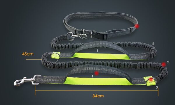 reflective dog leash