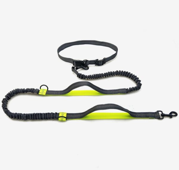 reflective dog leash