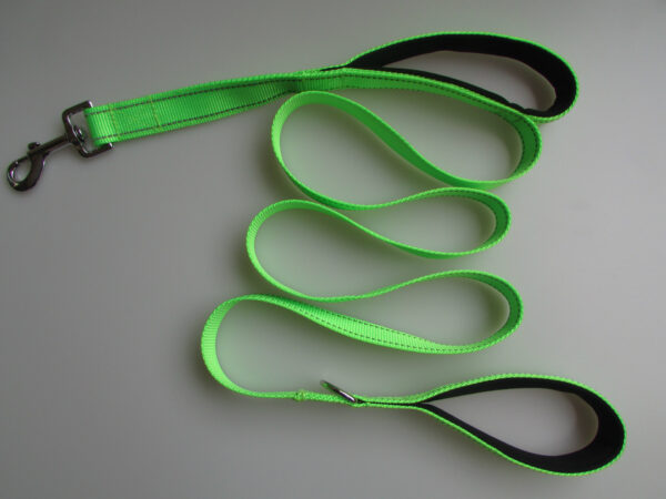 double handle leash for large dogs