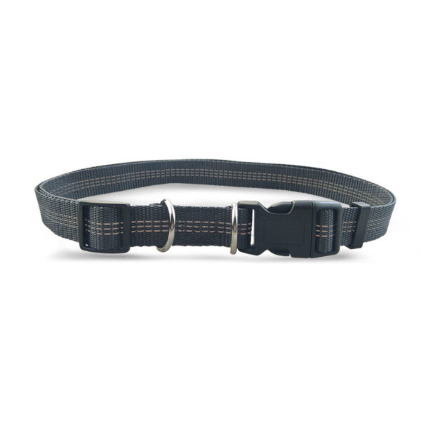 reflective dog leash