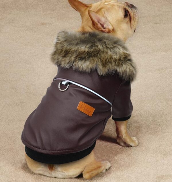 dog leather jacket