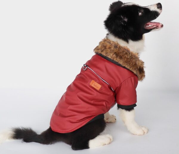 dog leather jacket