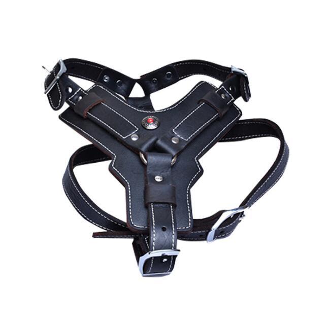 Peshouco Genuine Leather Dog Harness » Pearson Pets 2023