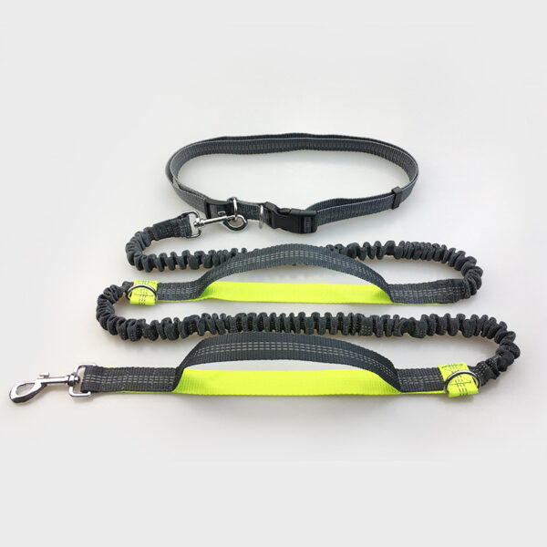 reflective dog leash