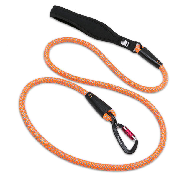 truelove dog leash