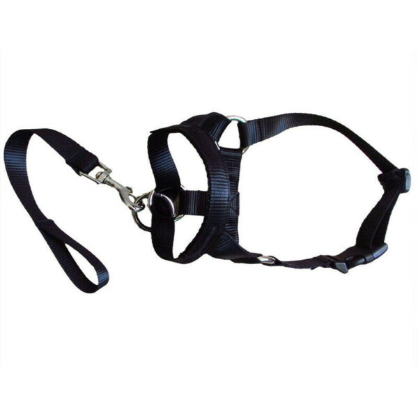 face harness for dogs