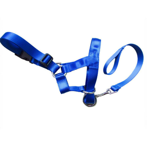 face harness for dogs