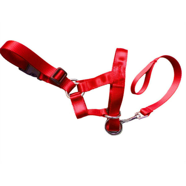 face harness for dogs