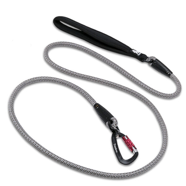 truelove dog leash