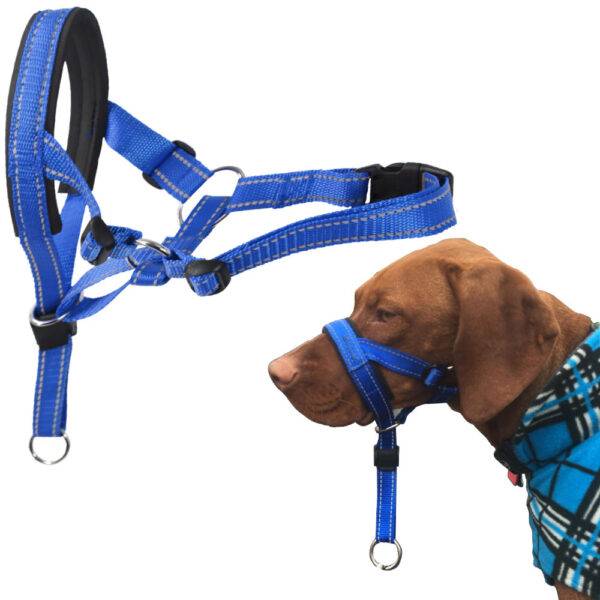 halter harness for dogs