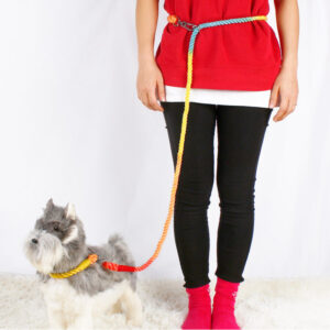 multifunctional handsfree dog leash with waist attachment