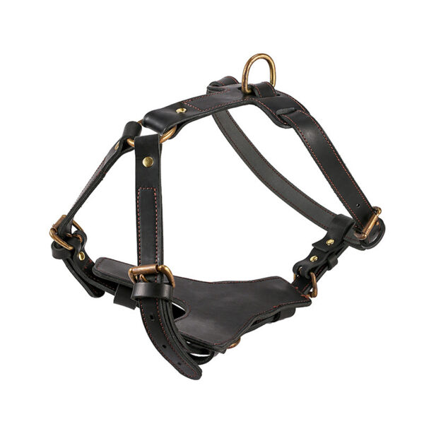 leather dog harness for large dogs