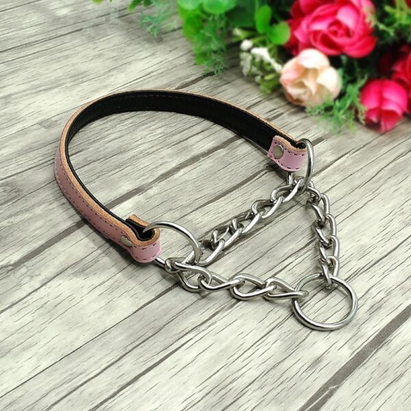 control chain dog collar