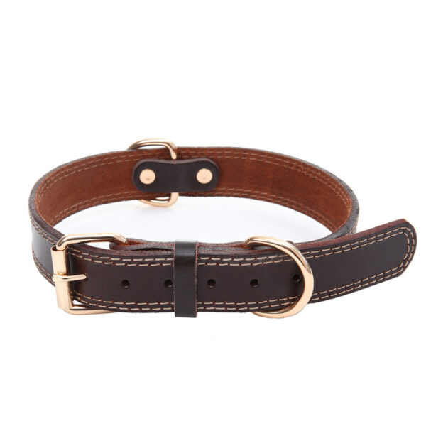 leather pet collars