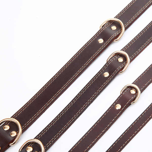 leather pet collars