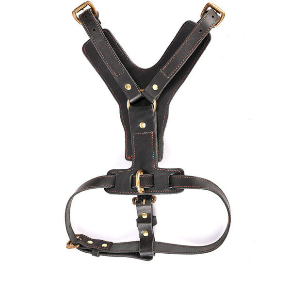 leather dog harness for large dogs