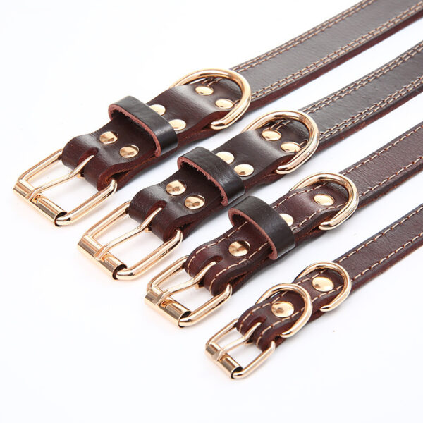 leather pet collars