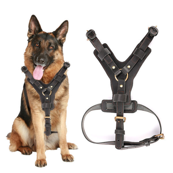 leather dog harness for large dogs