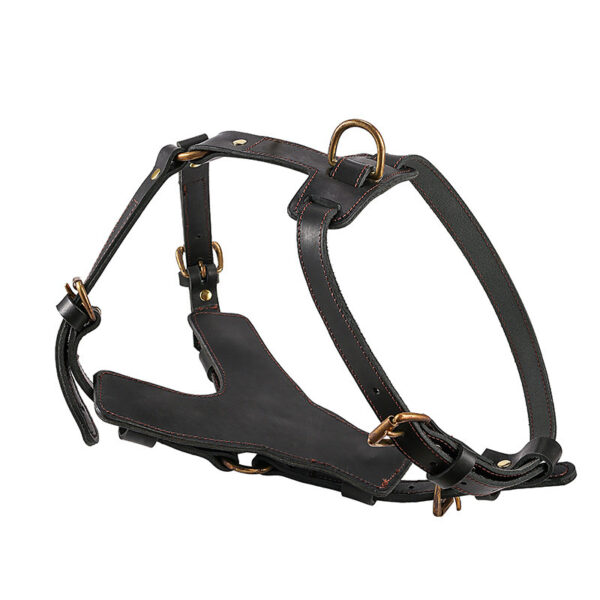 leather dog harness for large dogs