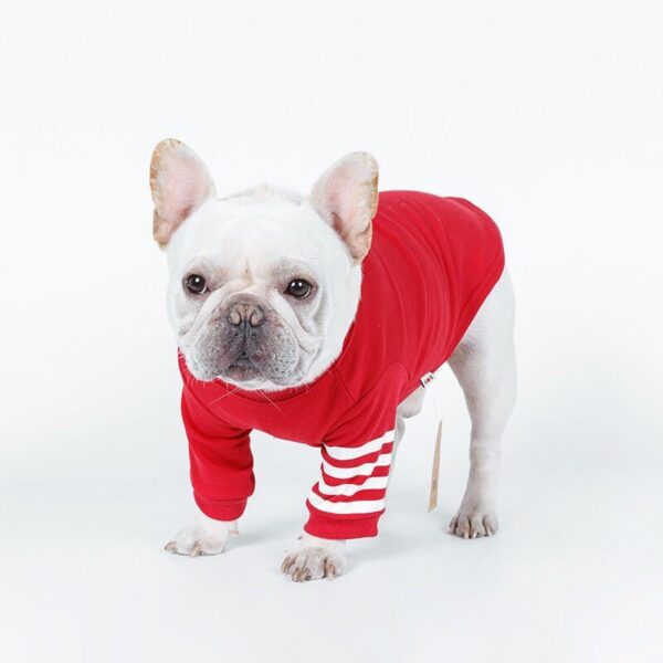 knit dog sweater