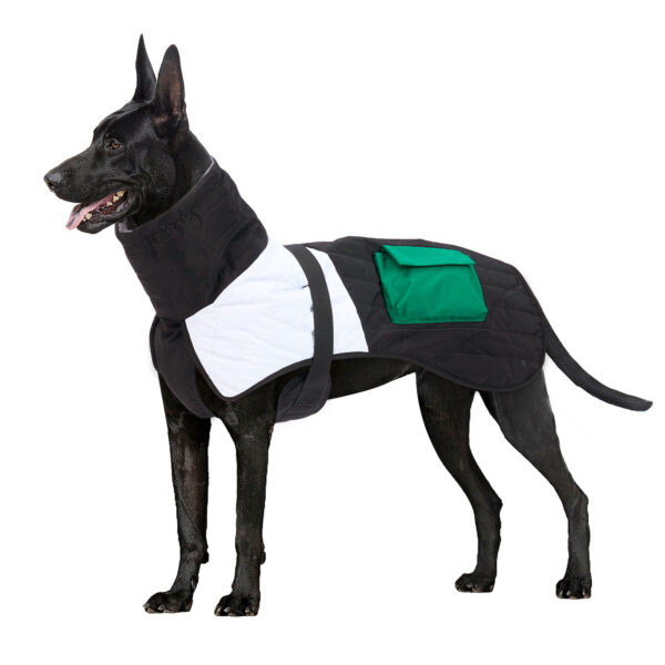 padded dog coat