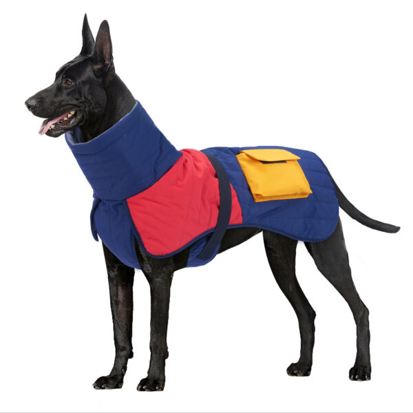 padded dog coat